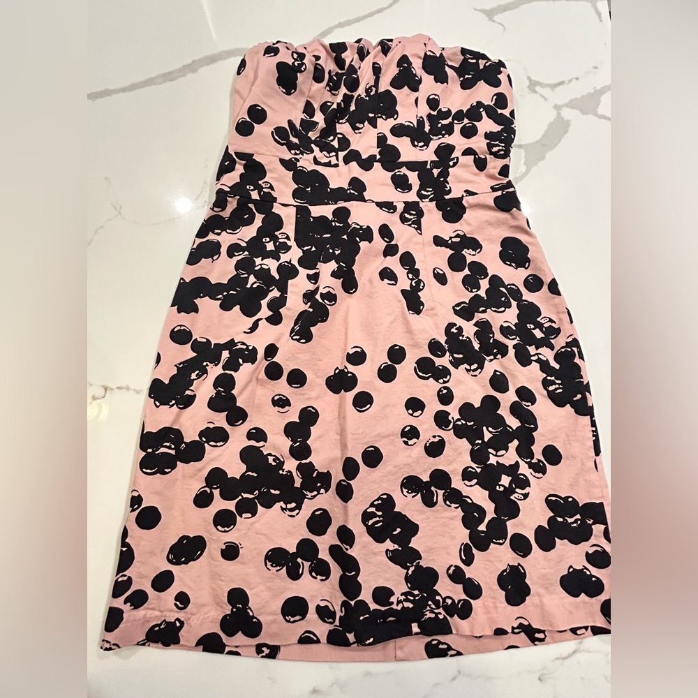 The Limited Strapless Pink and Black Dress